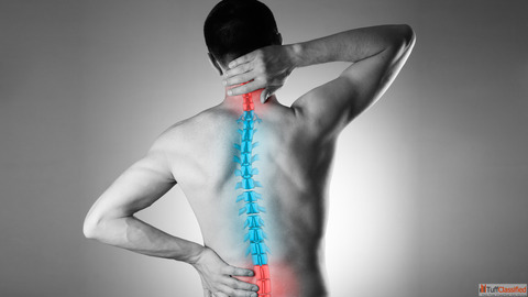 Best Spine Treatment Doctor in Noida Best Spine Treatment Doctor in Noida