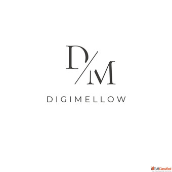 Professional Digital Marketing Company in Chandigarh with 100 Assistance Professional Digital Marketing Company in Chandigarh with 100 Assistance