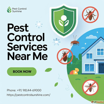 Professional Pest Control Services Near Me for Lasting Protection Professional Pest Control Services Near Me for Lasting Protection