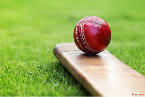 MatchLive - The Ultimate Cricket App MatchLive - The Ultimate Cricket App