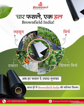 Mulch Films Supplier Manufacturer in India - Brownfield Advantage Mulch Films Supplier Manufacturer in India - Brownfield Advantage