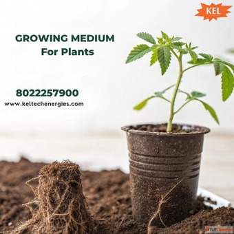 Growing Medium for Plants Growing Medium for Plants
