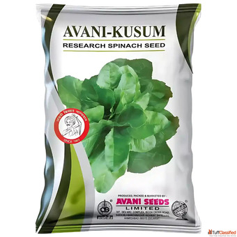 Buy Quality Spinach Seeds India Trusted by Farmers Buy Quality Spinach Seeds India Trusted by Farmers