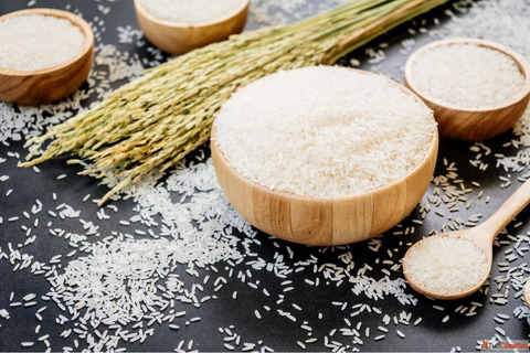 Rice ddgs protein content Rice ddgs protein content