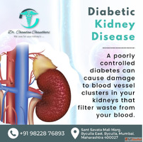 Diabetic Kidney Disease Treatment in Mumbai by Dr. Chandan C...