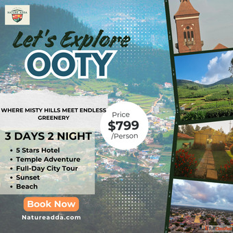 Explore the Beauty of Ooty - Ultimate Travel Destination Explore the Beauty of Ooty - Ultimate Travel Destination
