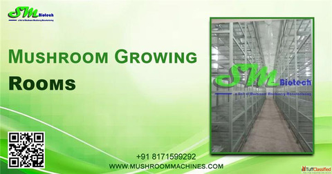 Premium Mushroom Growing Rooms by MushroomMachines Premium Mushroom Growing Rooms by MushroomMachines