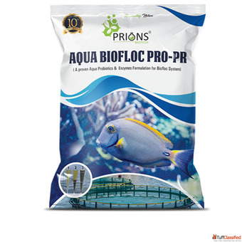 Optimizing Fish Health in Aquaculture The Power of Probiotics