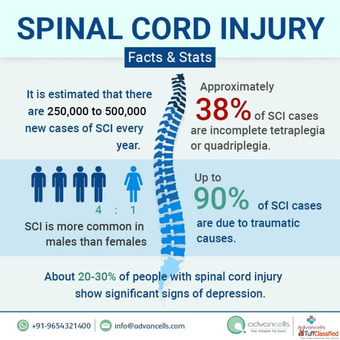 Stem Cell Treatment For Spinal Cord Injury