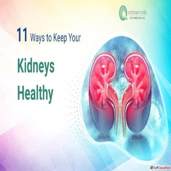 Stem Cell Treatment For Kidney Disease