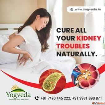 Yogvedas Ayurvedic Solutions for Kidney and Gallbladder Stones