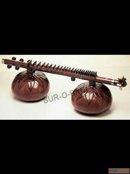 SUROBANI Manufacture and Supplier of Electronic Instrument in India USA Australia