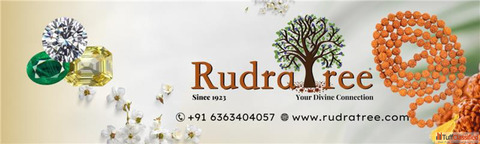RudraTree Rudraksha amp Gemstones