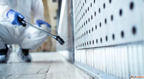 PestFree Living in Pune Starts Here Expert Pest Control Services at Your Doorstep