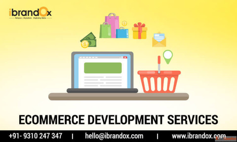Best eCommerce Website Development Company in Delhi iBrandox