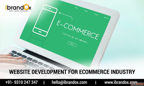 Best eCommerce Website Development Company in Delhi iBrandox