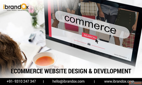 Best eCommerce Website Development Company in Delhi iBrandox