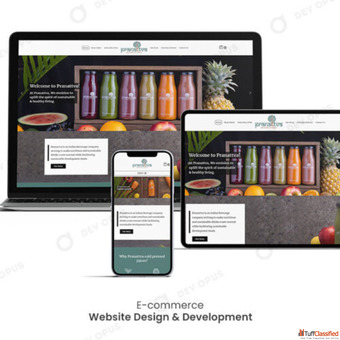 Expert Web Design Services in Ahmedabad