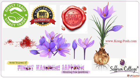 Start A Healthy Lifestyle with Finest Kashmiri Saffron