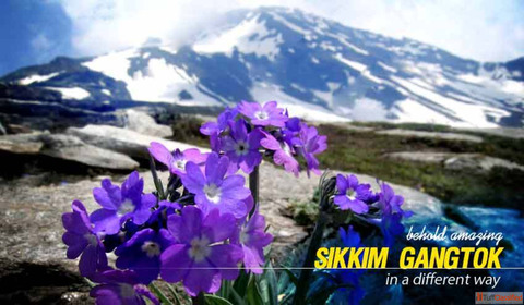 Wonderful Sikkim Gangtok Tour Packages in 2024 Holidays NatureWings