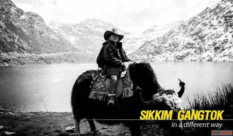 Wonderful Sikkim Gangtok Tour Packages in 2024 Holidays NatureWings
