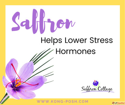 Where to buy saffron in kl