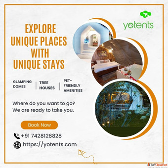 Discover the Ultimate PetFriendly Holiday Destination