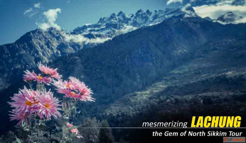 Amazing Lachen lachung Package Tour Itinerary 7 days by NatureWings Holidays
