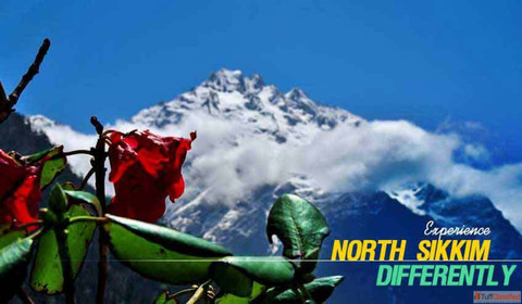 The No1 North Sikkim Travel Agency for Summer Holidays NatureWings Holidays