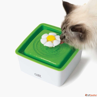 Catit India A Official Website of Catit Products