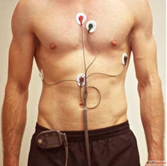 Wafid Gamca Medical Appointment in Mumbai Book Online Appointment Now