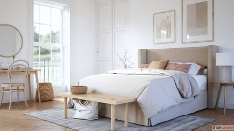 Modern Comforts for Students in Frankfurt