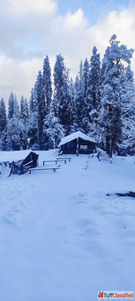 Kedarkantha Trek Himalaya Shelter