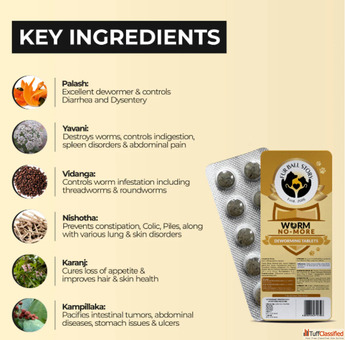 Deworming tablets for dogs amp Cats
