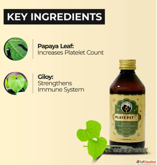 Platelet booster for dogs amp Cats