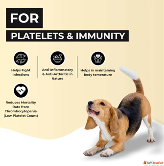 Platelet booster for dogs amp Cats