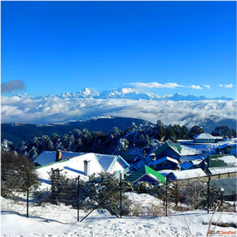 Looking For Sandakphu Land Rover Package Tour Get Best Price from NatureWings in 2024