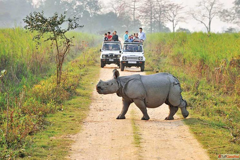 Jim Corbett Safari Booking Just 3500 Hurry Up Limited Offer