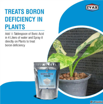 Zyax Boric Acid Powder EcoFriendly Pest Control Solution