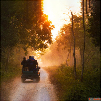 Book Dooars Package Tour from Kolkata with Best Dooars Tour Package Price