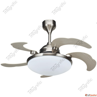 Contemporary Ceiling Fans Magnific Home Appliances