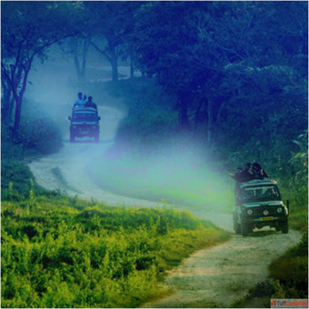Book Dooars Tour Package from Siliguri with best Hollong Tourist Lodge Price