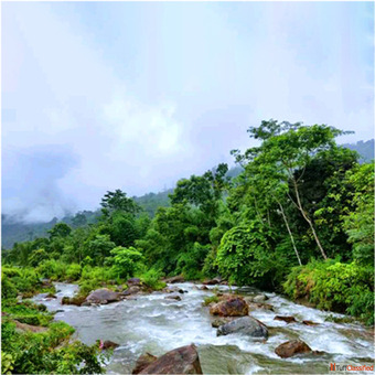 Book Dooars Tour Package from Siliguri with best Hollong Tourist Lodge Price