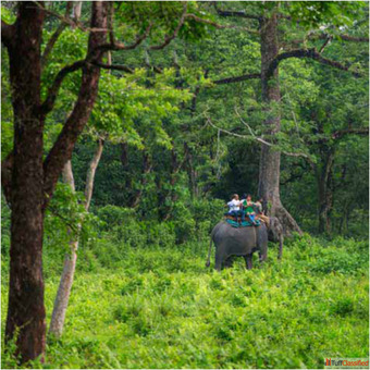 Kolkata to Dooars Package Tour at Best Price
