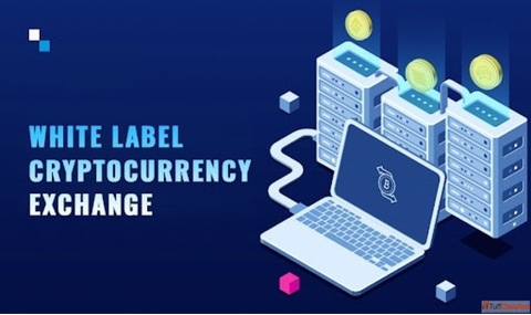 Adopt TopChoice White Label Crypto Exchange Software Development Solution