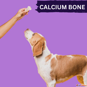 Pack Of 6 Bones Dogs Calcium Bone Dog Bones Chew Bones Calcium Treat for Dogs Treat 4 Inches