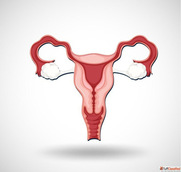 Get Consultation on Uterine Fibroid in Ahmedabad