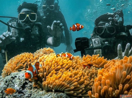 Try the Andaman Island Hopping Trip to Explore Havelocks Virgin Islands