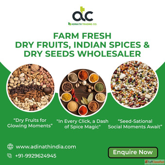 Best Wholesaler and Supplier of Dry Fruits dry Seeds and Indian Spices in India