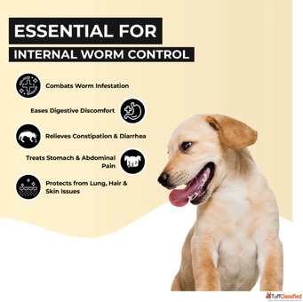Buy Deworming tablet For Dogs Online at Best Price